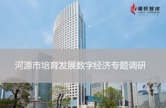 河源市培育發(fā)展數(shù)字經(jīng)濟(jì)專題調(diào)研